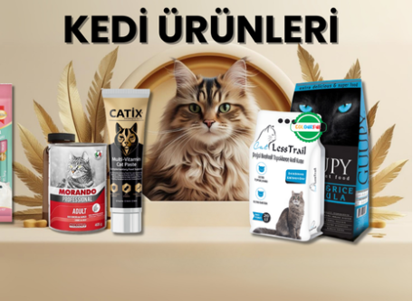 Kedi 