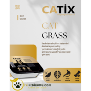CATİX %100 Doğal Kedi Çimi File HEDİYELİ (Tüy Yumağı Önleyici)